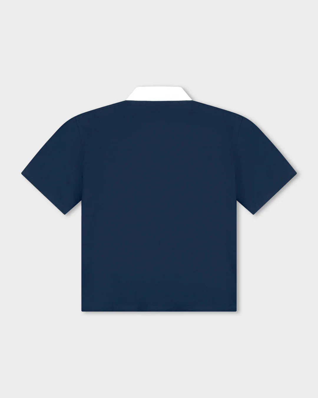 Rocco Polo - Image 6